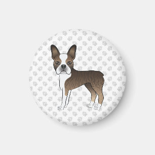 Íman Brindle Boston Terrier Cute Cartoon Dog & Paws