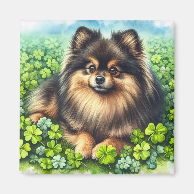 Íman Brindle Pomeranian Watercolor Clover Shamrock (Frente)