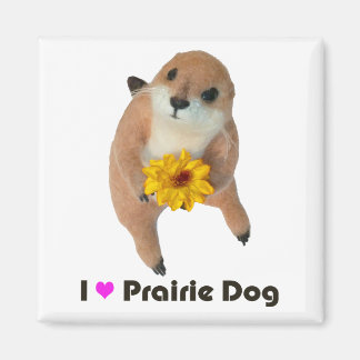 Íman brinquedo de pelúcia de cachorro da prairie
