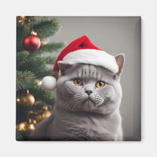 Íman British Shorthair Christmas