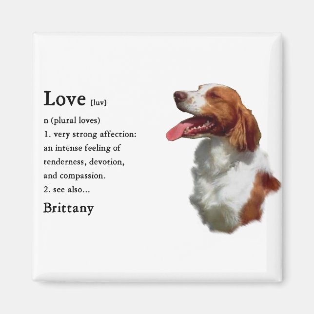 Íman Brittany Spaniel Gifts (Frente)