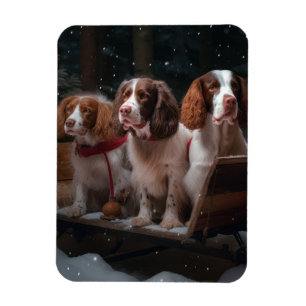Íman Brittany Spaniel Neve Trenó Natal Decoração