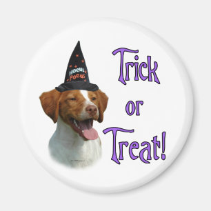 Íman Brittany Spaniel Trick