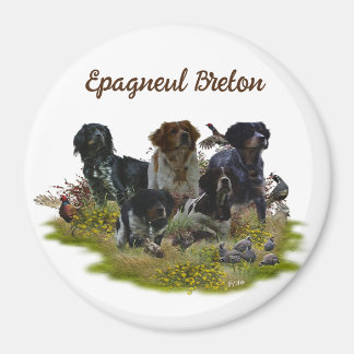 Íman Brittany Spaniels, Caça de Pássaros