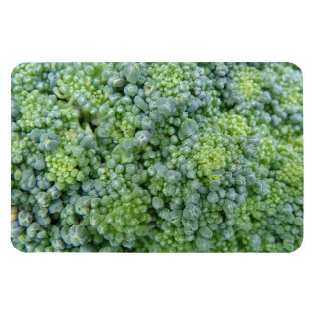 Íman Broccoli Macro Premium (Horizontal)