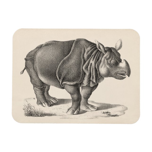 Íman Brodtmann Rhinoceros Sketch (Horizontal)