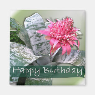 Íman Bromélia Rosa de Aniversário