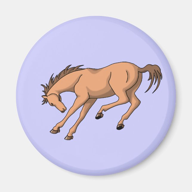 Íman Bronco (Frente)