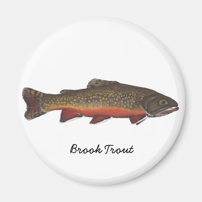 Íman Brook Trout (Frente)