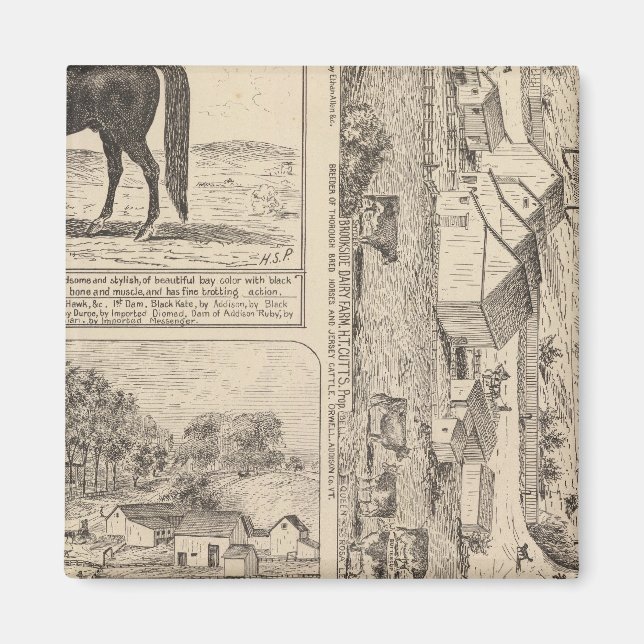 Íman Brookside Dairy Fazenda (Frente)