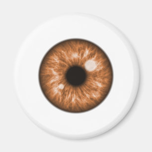 Íman Brown Eye Ball Engraçado
