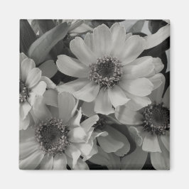 Íman Brown Eyed Susan Flowers