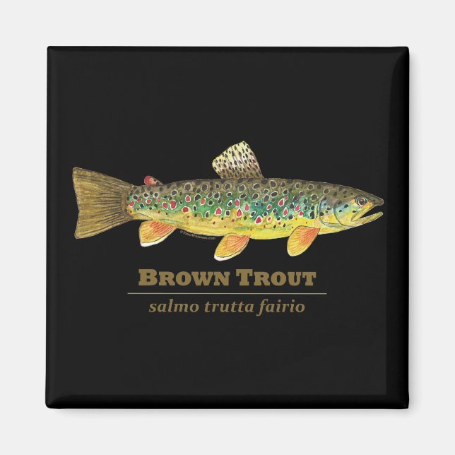 Íman Brown Trout Ichthyology Latino (Frente)