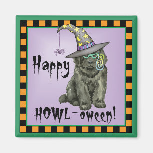 Íman Bruxa de Newfie