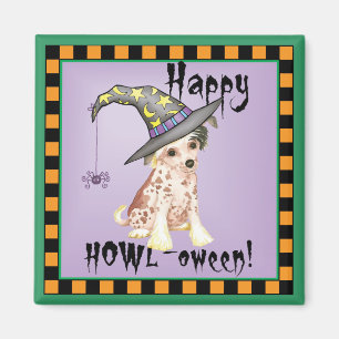 Íman Bruxa Prenhada Chinesa