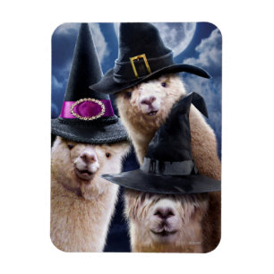 Íman Bruxas do Alpaca