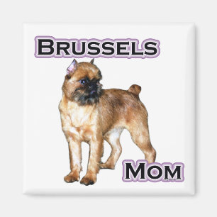 Íman Bruxelas Griffon Mãe; Mãe de Bruxelas Griffon