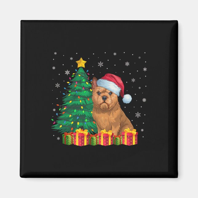 Íman Bruxelas Griffon Santa Hat Luzes de Natal D (Frente)