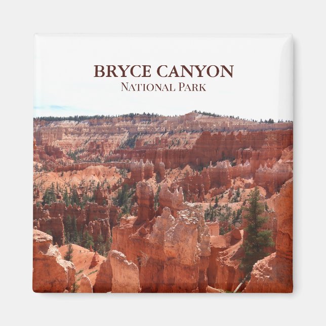 Íman Bryce Canyon National Park Magnet (Frente)