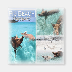 Íman BS0018 America, Bahamas, Fridge