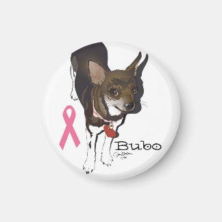 Íman Bubo, o chihuahua