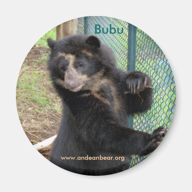 Íman Bubu Andean Bear Magnet (Frente)