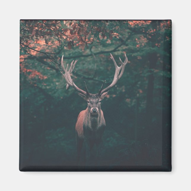 Íman Buck Deer Wild Animal (Frente)