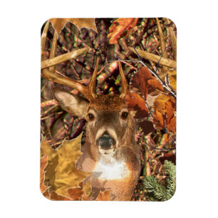 Íman Buck in Fall Camo White Tail Deer