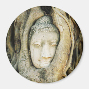 Íman Buda Cabeça na Árvore Fig. Ayutthaya, Tailândia