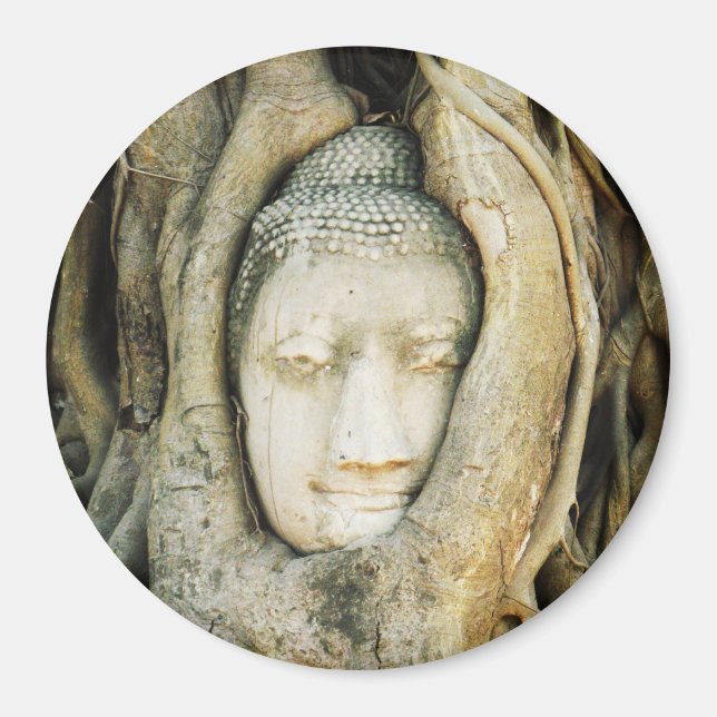 Íman Buda Cabeça na Árvore Fig. Ayutthaya, Tailândia (Frente)