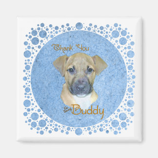 Íman Buddy Blue