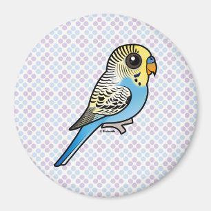 Íman Budgie azul & amarelo