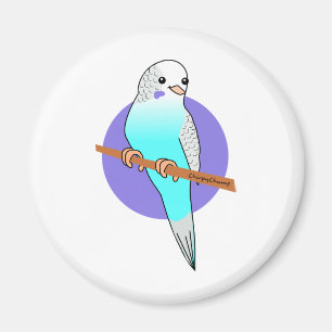 Íman Budgie azul bonito