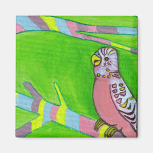 Íman budgie cor-de-rosa pequenino