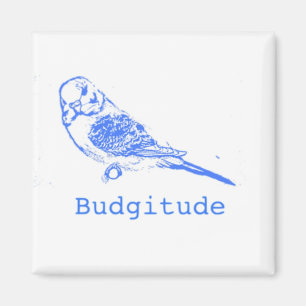 Íman Budgitude