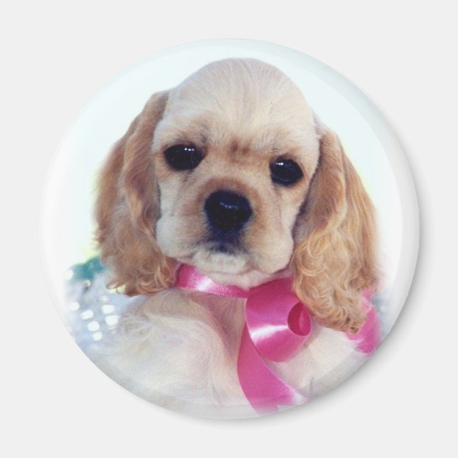 Íman Buff Cocker puppy magnet (Frente)
