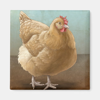 Íman Buff Orpington Magnets