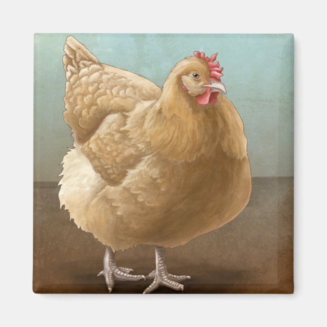 Íman Buff Orpington Magnets (Frente)