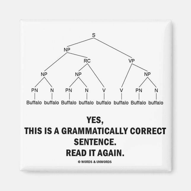 Íman Buffalo (8 Vezes) Frase Grammaticamente Correta (Frente)