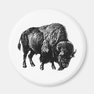 Íman Buffalo American Bison Magnet