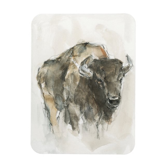 Íman Buffalo Americano I (Vertical)