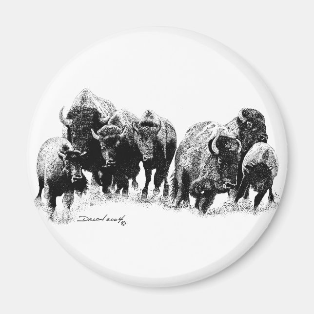 Íman Buffalo Herd (Frente)