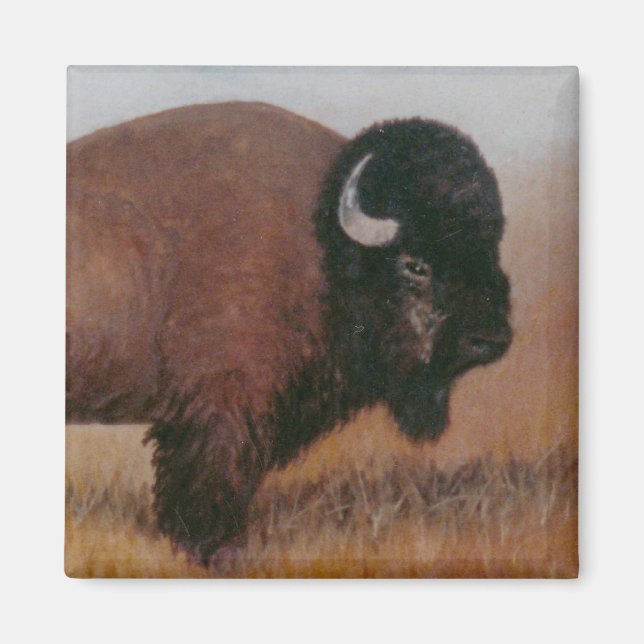 Íman Buffalo Magnet (Frente)