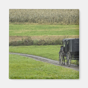 Íman Bugue amish em estrada rural, Nordeste de Ohio,