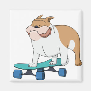 Íman buldogue