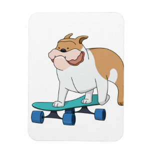 Íman buldogue