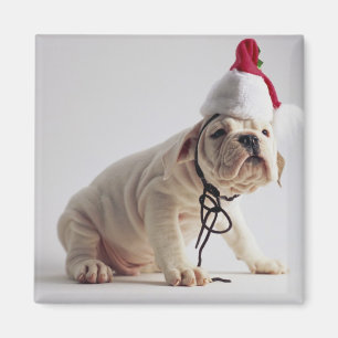 Íman Buldogue Cachorro Vestindo Papai Noel