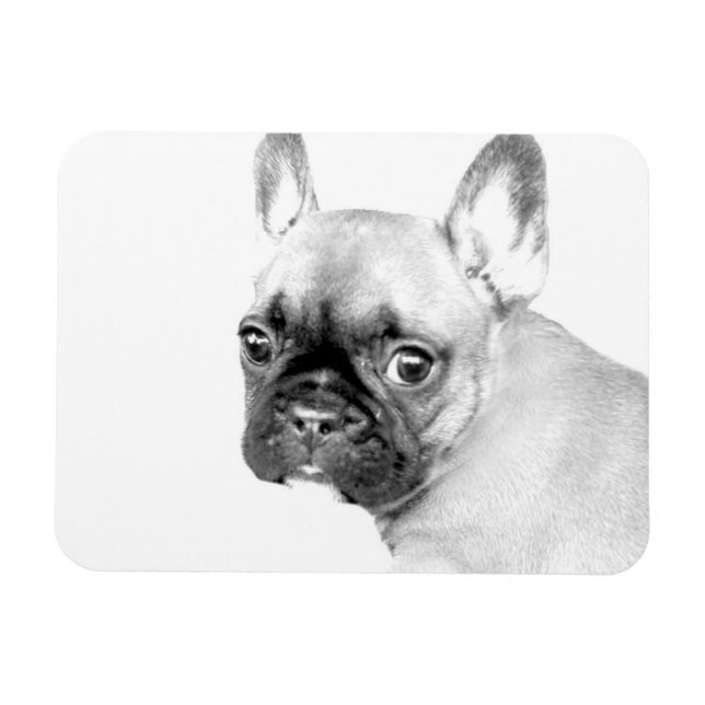 Íman Buldogue Francês (Horizontal)