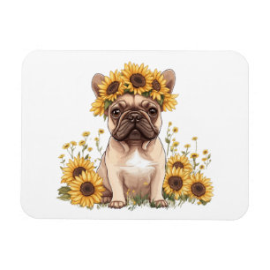 Íman Buldogue Francês Cercado Por Girassóis