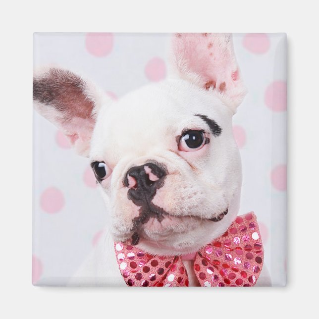 Íman Buldogue Francês com Arco (Frente)